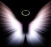 AmeeLiTy